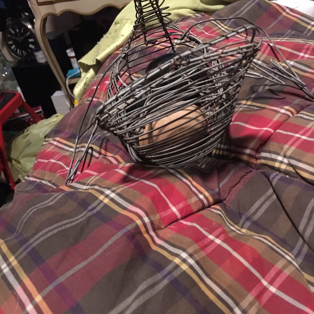 Chicken egg basket - Picture 3 of 5